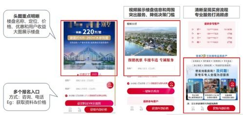 營銷寶典 房產家居行業運營解決方案——為開發商及遠郊房產項目定制的營銷策劃全攻略