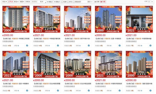 房地產網絡營銷策略分析——以遠房產營銷策劃為例